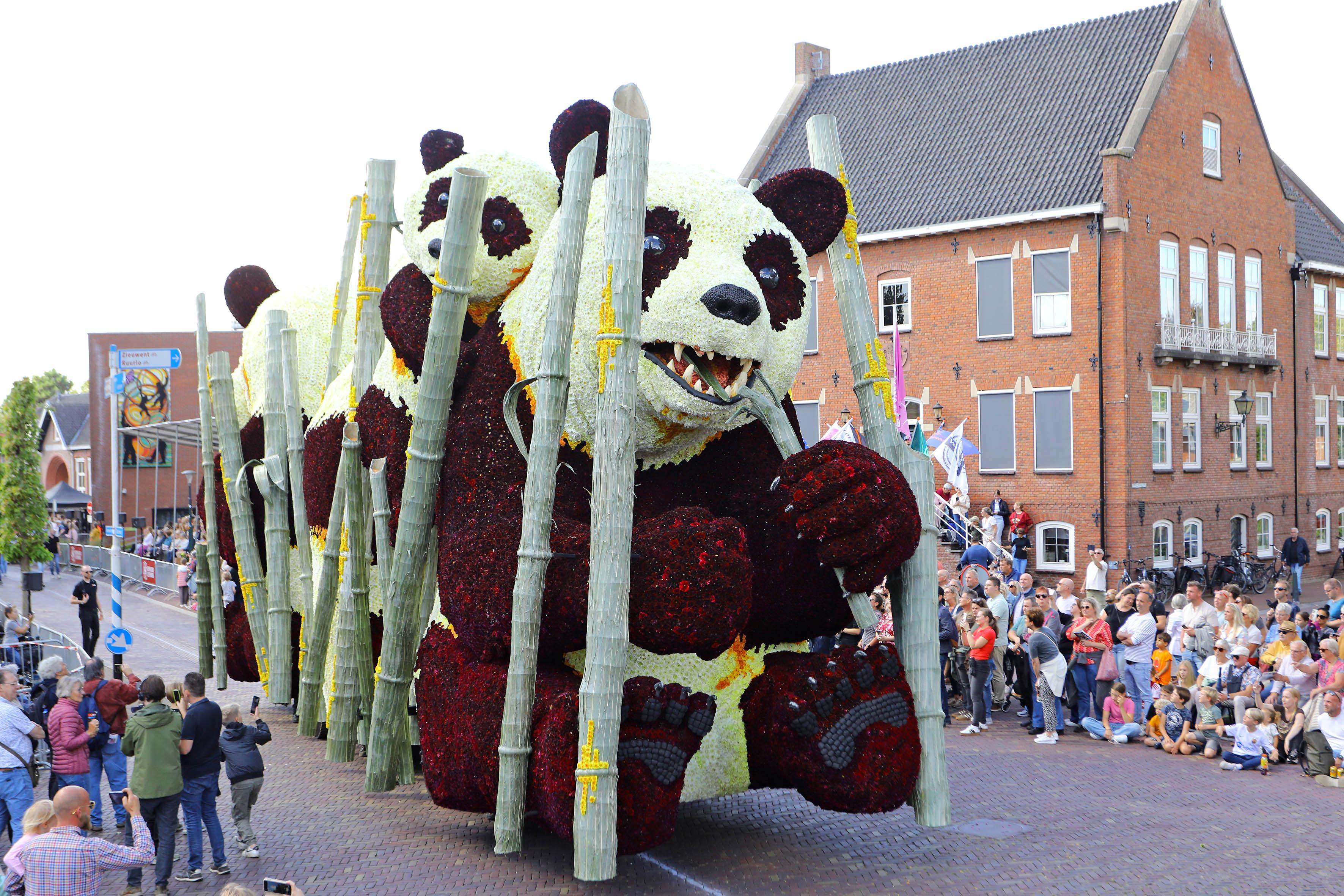Corso 2025 Boschlaan 0 O4 A9044
