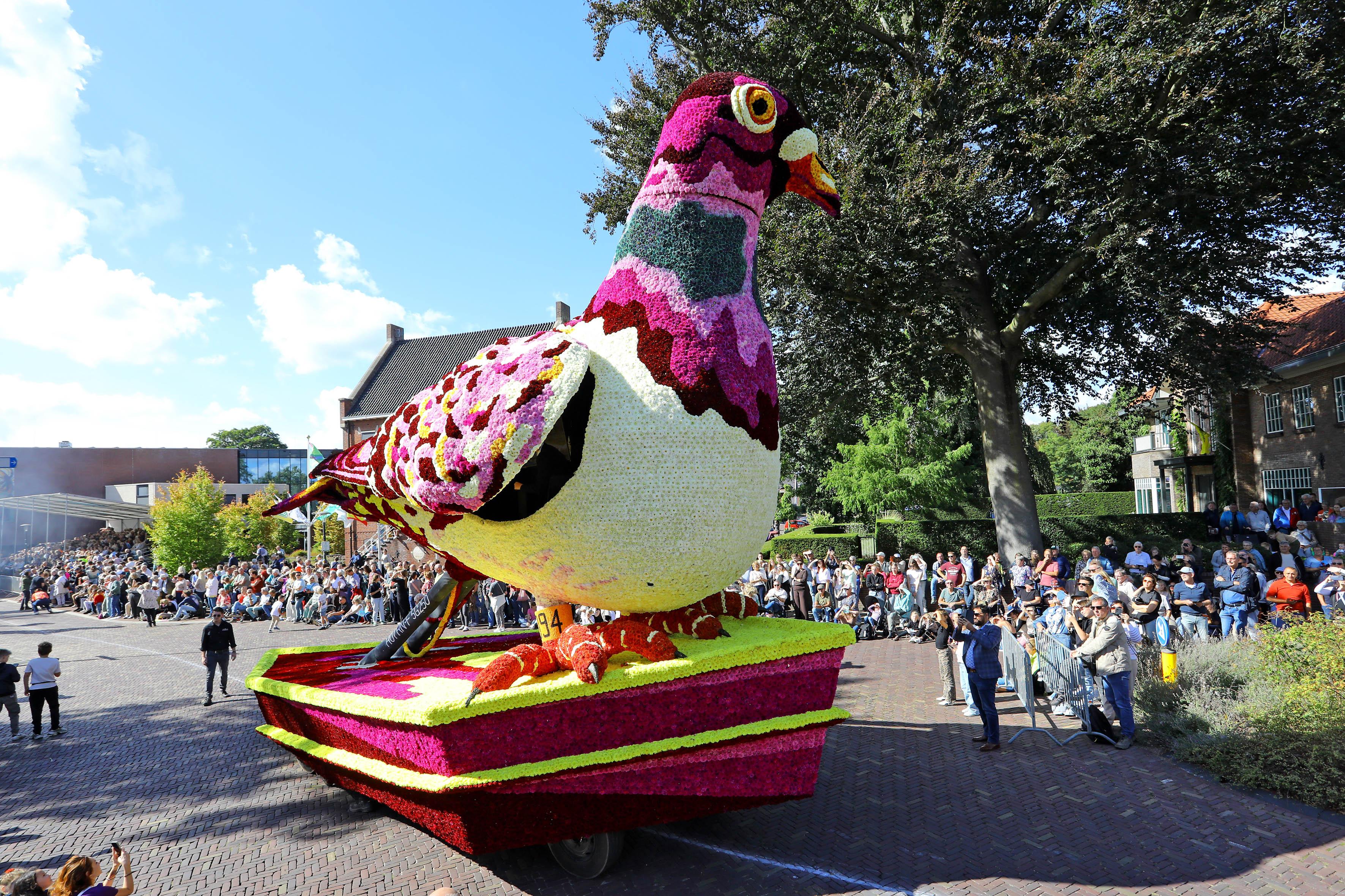 Corso 2025 Van Reedestraat 0 O4 A9071