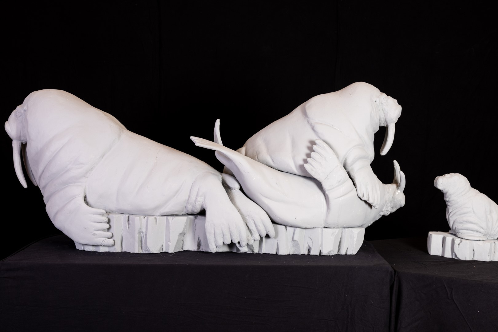 Maquettes 2025 3 Groot